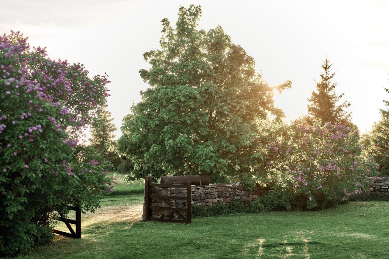 Matsi Cottage Igaküla Dış mekan fotoğraf
