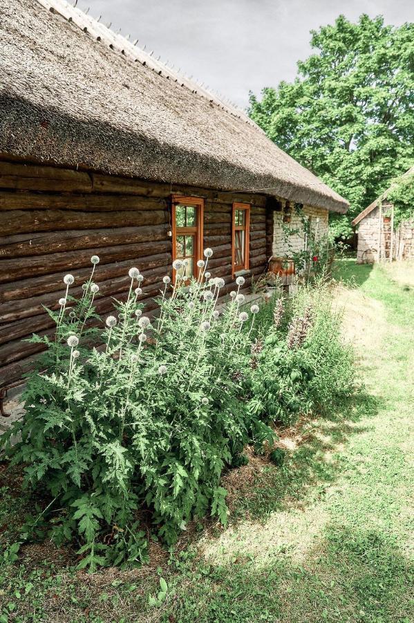 Matsi Cottage Igaküla Dış mekan fotoğraf
