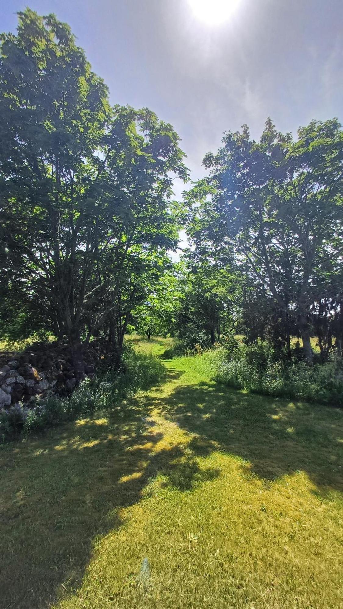 Matsi Cottage Igaküla Dış mekan fotoğraf